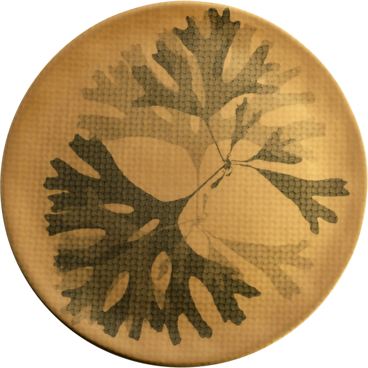 Teller fl.31cm must VPE 4 Stück CHEF'S PLATE Seaweed Teller fl.31cm must VPE 4 Stück CHEF'S PLATE Seaweed