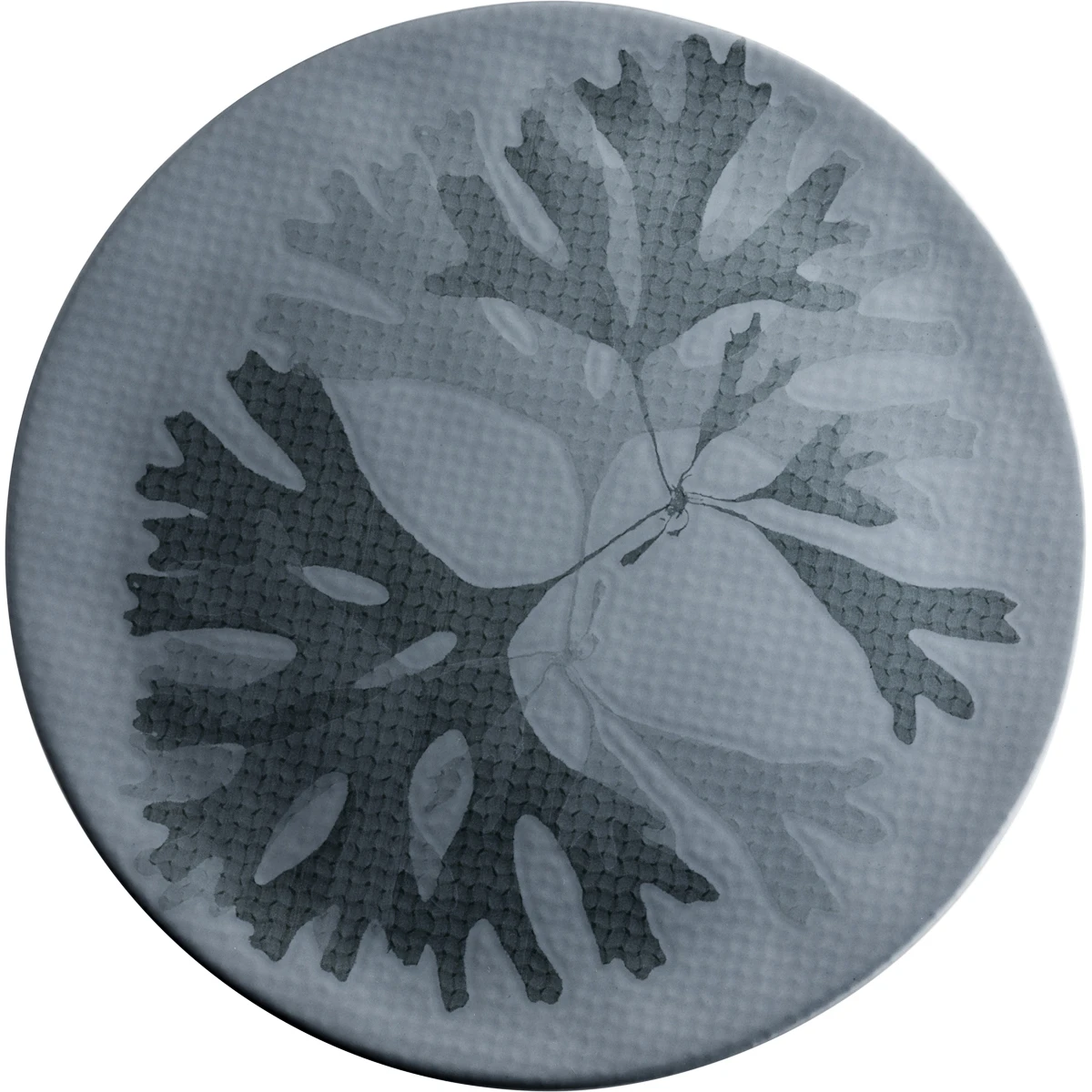 Teller fl.31cm blue VPE 4 Stück CHEF'S PLATE Seaweed Teller fl.31cm blue VPE 4 Stück CHEF'S PLATE Seaweed