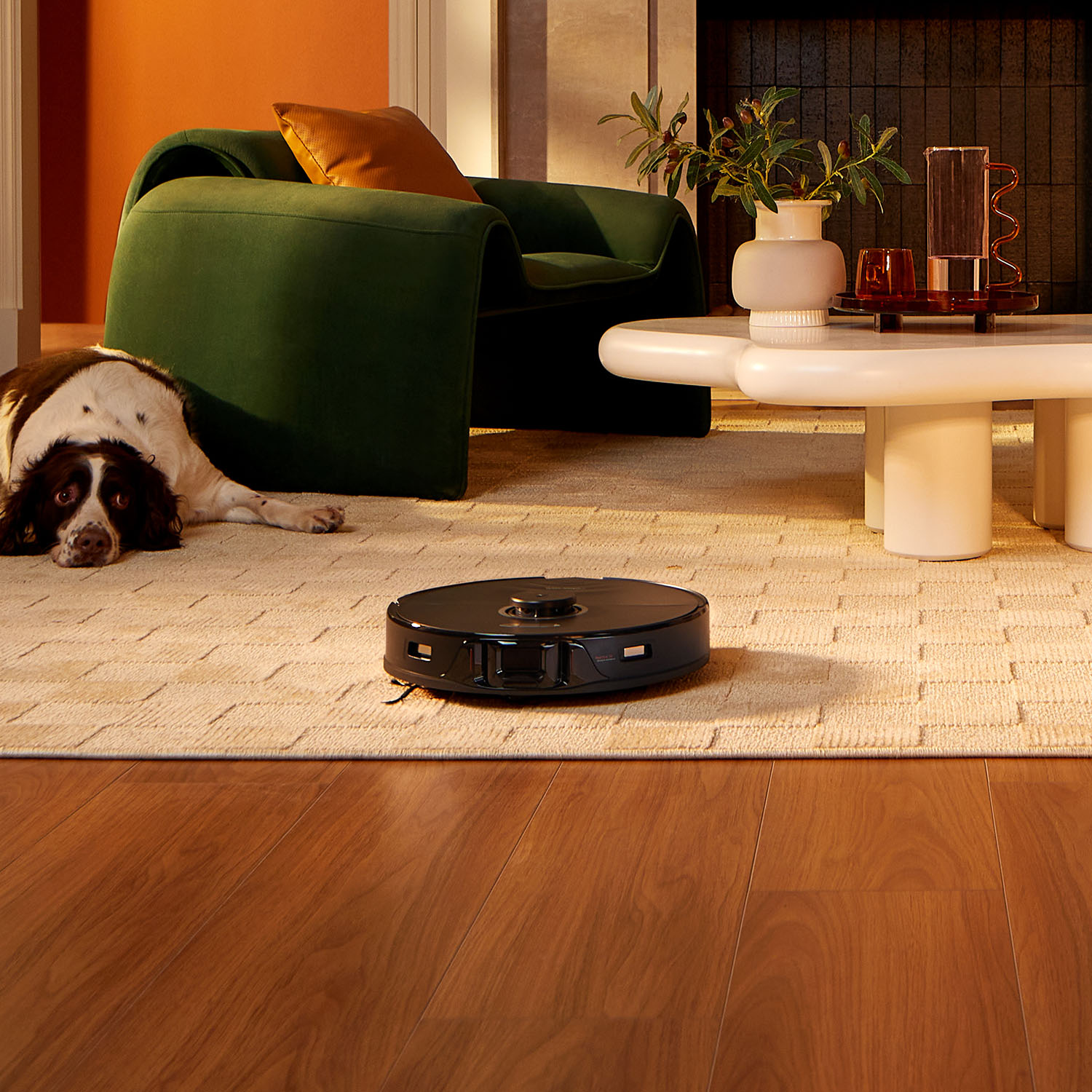 Roborock_S8_Pro_Ultra-8