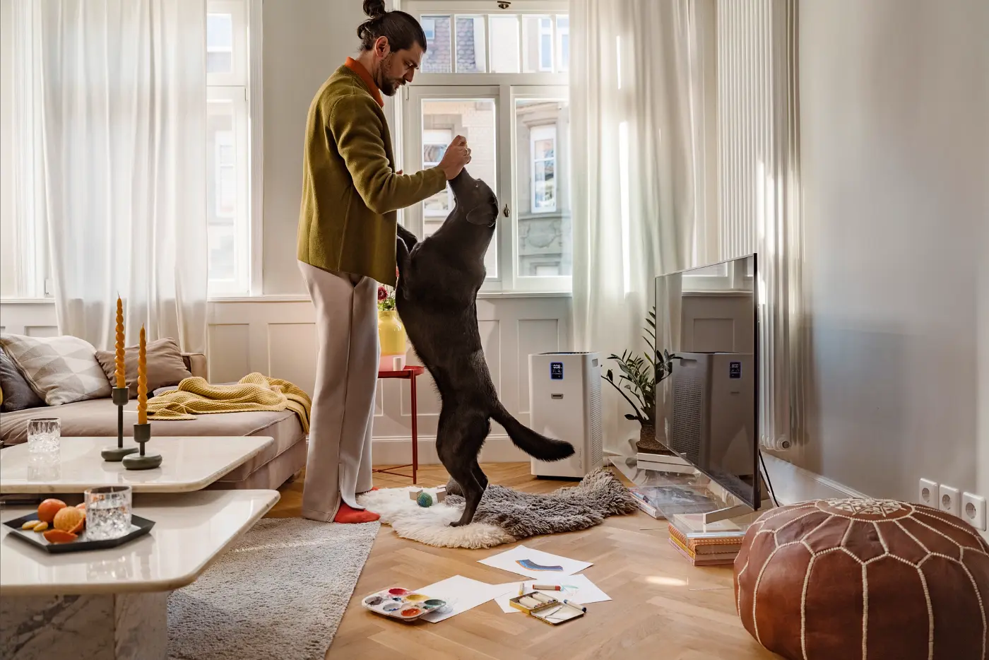 kategoriebild-luftreiniger