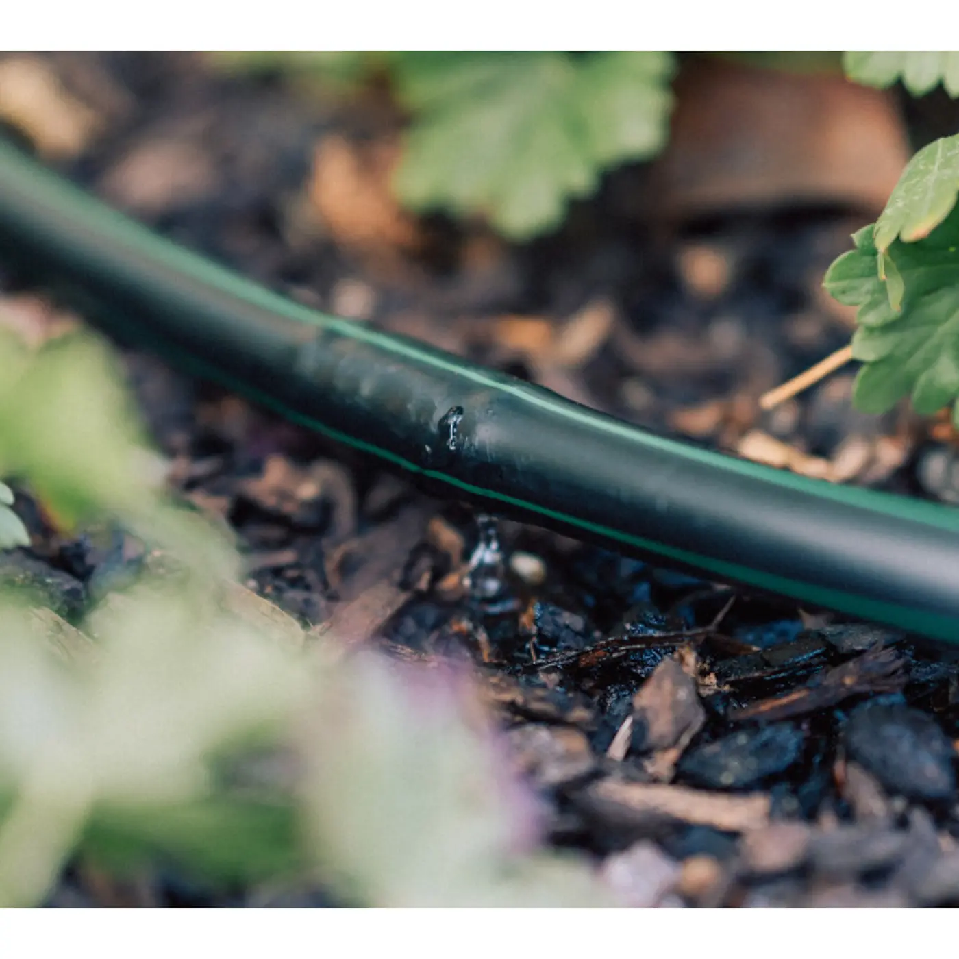 Tropfrohr 16mm, 50m für GEKA Drip Bewässerungssystem Tropfrohr 16mm, 50m für GEKA Drip Bewässerungssystem