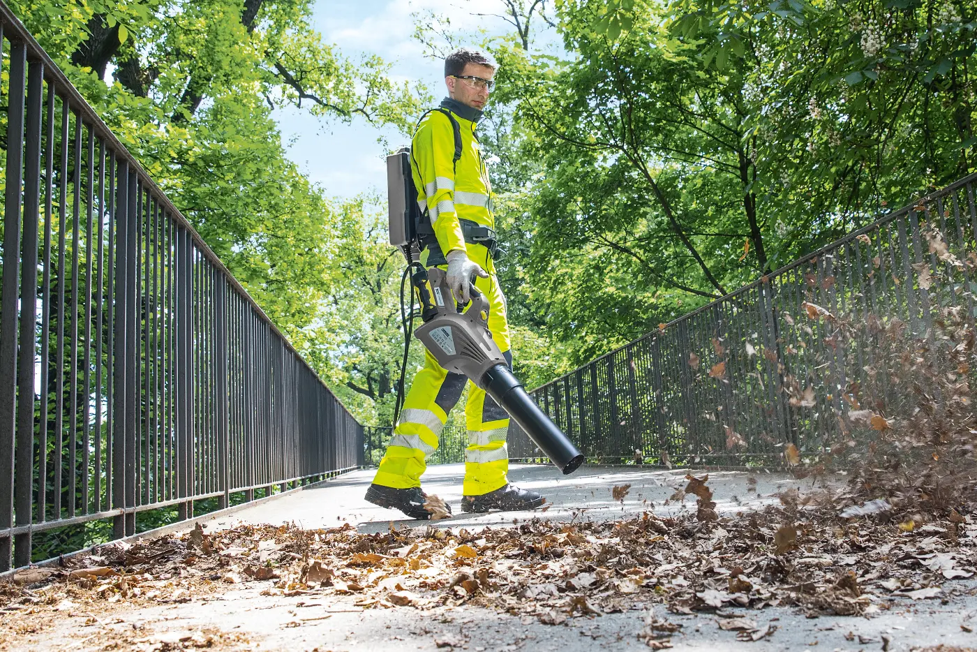 kategoriebild-laubblaeser