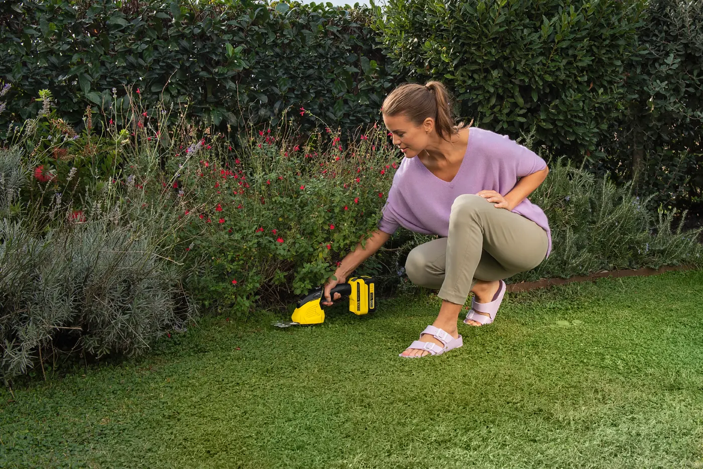 kategoriebild-grasschere