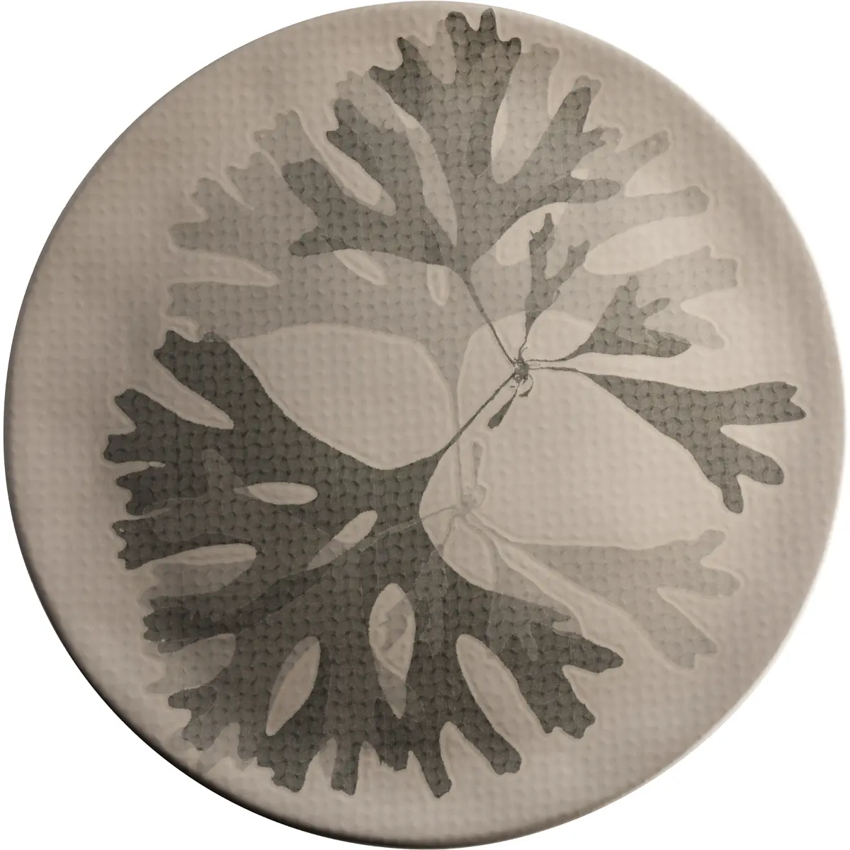 Teller fl. 31cm tau VPE 4 Stück CHEF'S PLATE Seaweed