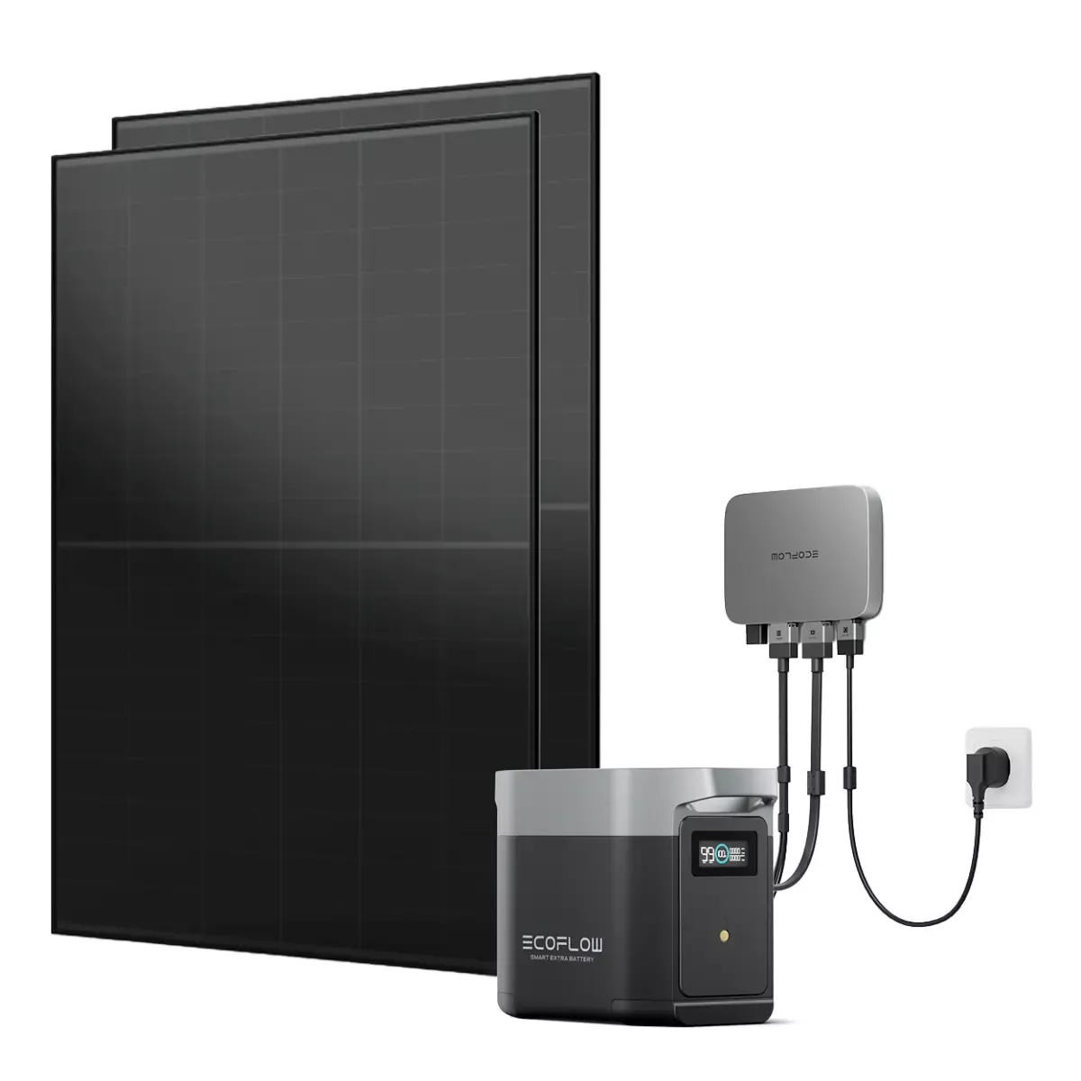 Smart Extra Battery